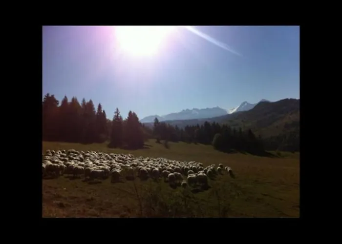 Сasa de vacaciones Drevenica Sambron